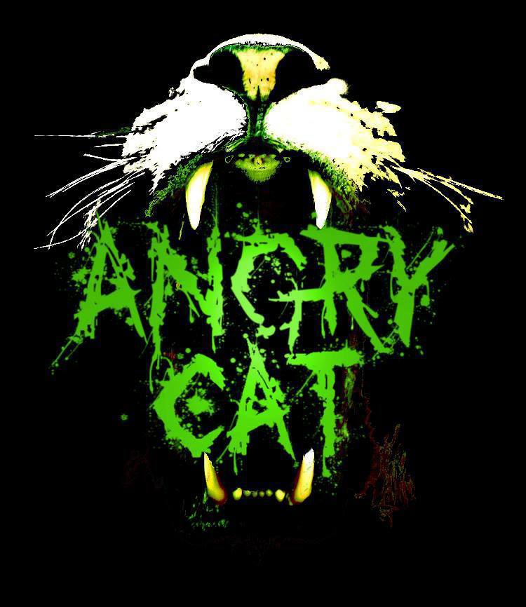 AngryCat