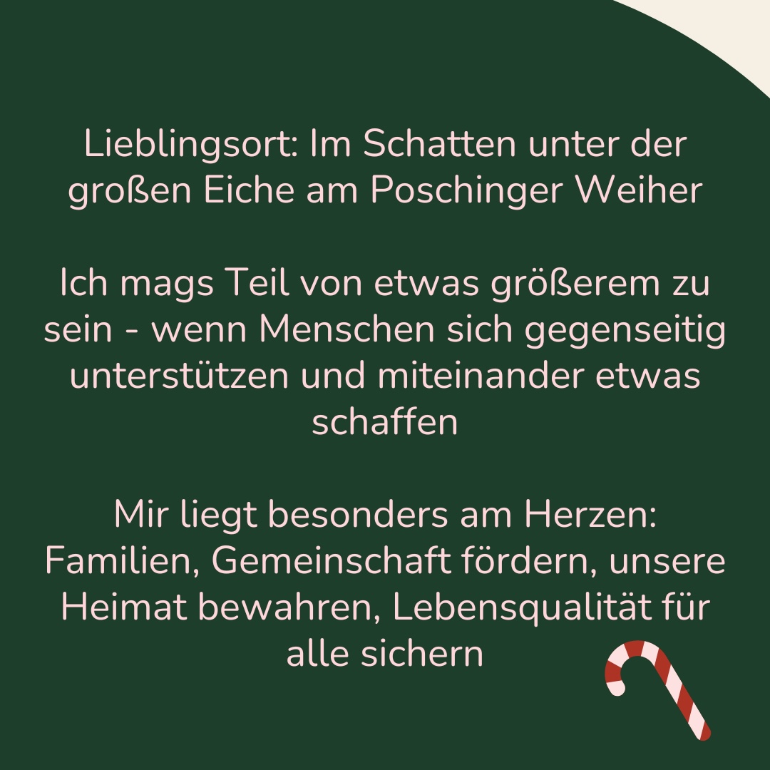 Adventskalender-Instagram-Post in elegantem Stil in Beige Gold Grün – Copy (3)