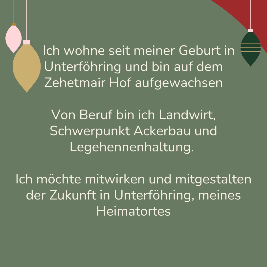 Adventskalender-Instagram-Post in elegantem Stil in Beige Gold Grün – Copy (5)